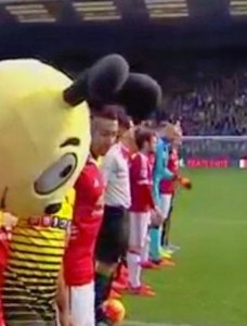 Watford football club's mascot, Harry the Hornet, during the minute's silence for Paris. Sadness in his eyes. 